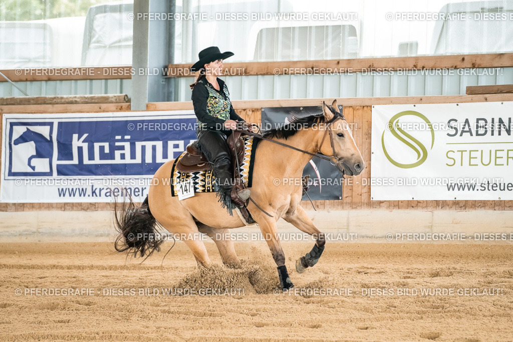 DSC02957 | Pferdegrafie