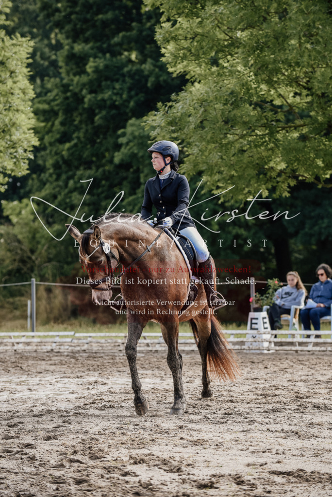 DSC_9224 | Pferde- und Turnierfotografie in Westsachsen. Pferdeportraits, Auftragszeichnungen und intuitive Kunst.