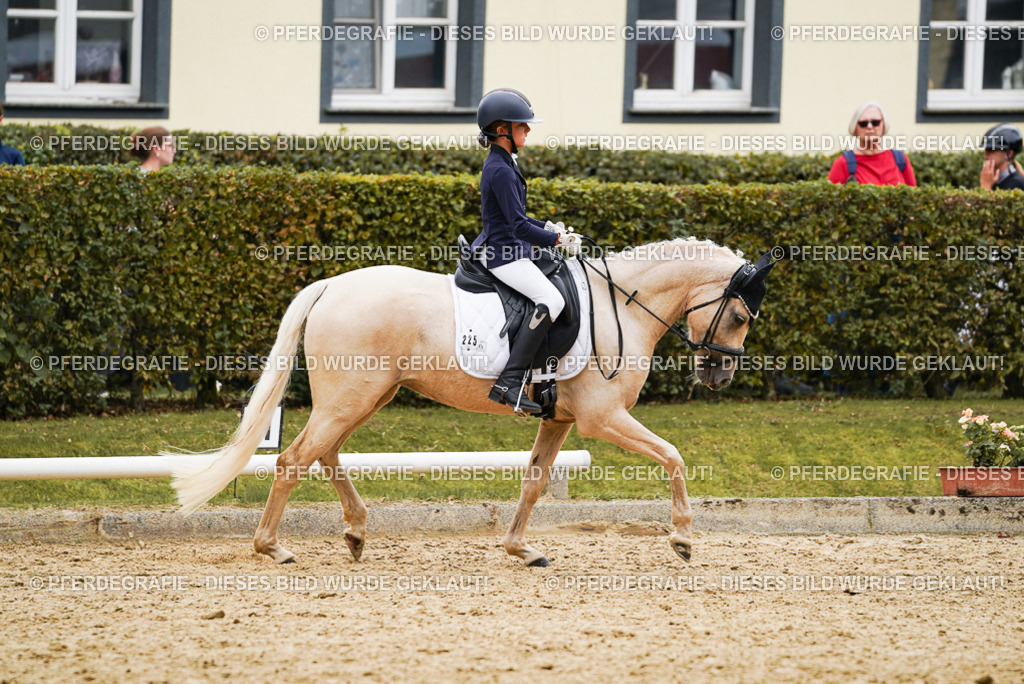 DSC00501 | Pferdegrafie