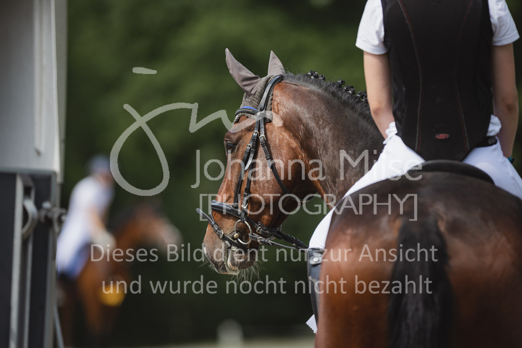 220619_Warstein_A2-Spr-258 | Warsteiner Outdoors
Springprüfung Kl. A**
19.06.2022