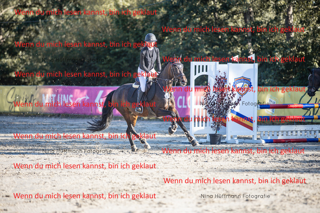 BK1A7855 | Turnierbilder Turnierfotos Nina Hüffmann Turnierfotografie Pferdefotografie Tierzeichnung Haustierzeichnung Pferdezeichnung Hundezeichnung Videograf  - Realisiert mit Pictrs.com