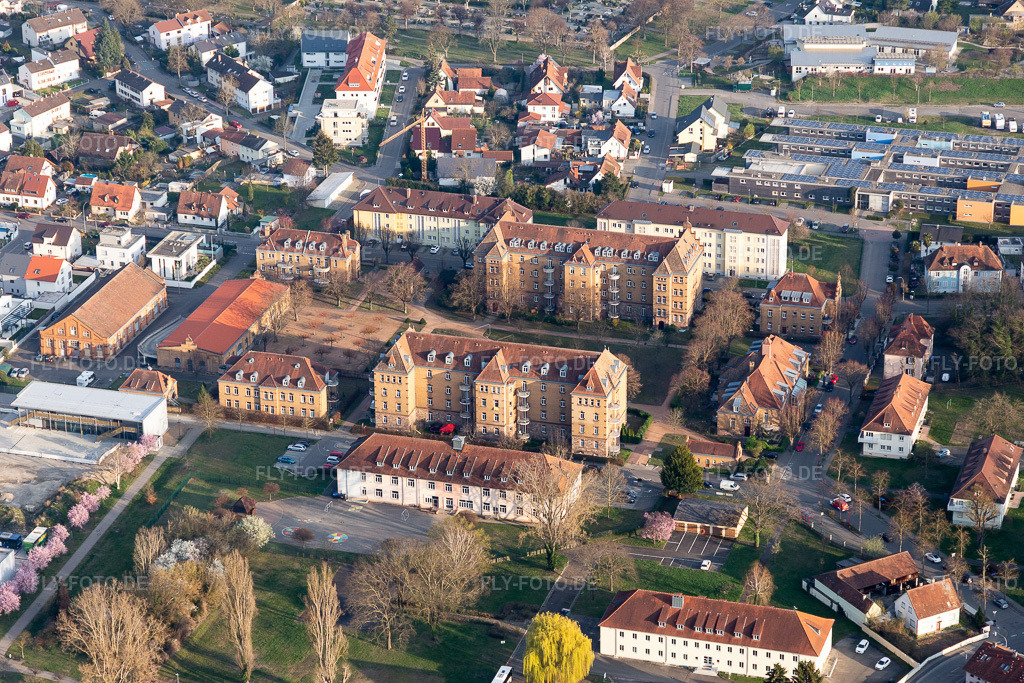 Luftbild: Ortsansicht der Straßen und Häuser entlang der Hafenstraße - Rheintorstraße in Breisach am Rhein im Bundesland Baden-Württemberg in Deutschland. Foto: IMG_113173.jpg vom 22.03.2019 durch Werner Riehm/FLY-FOTO.de
