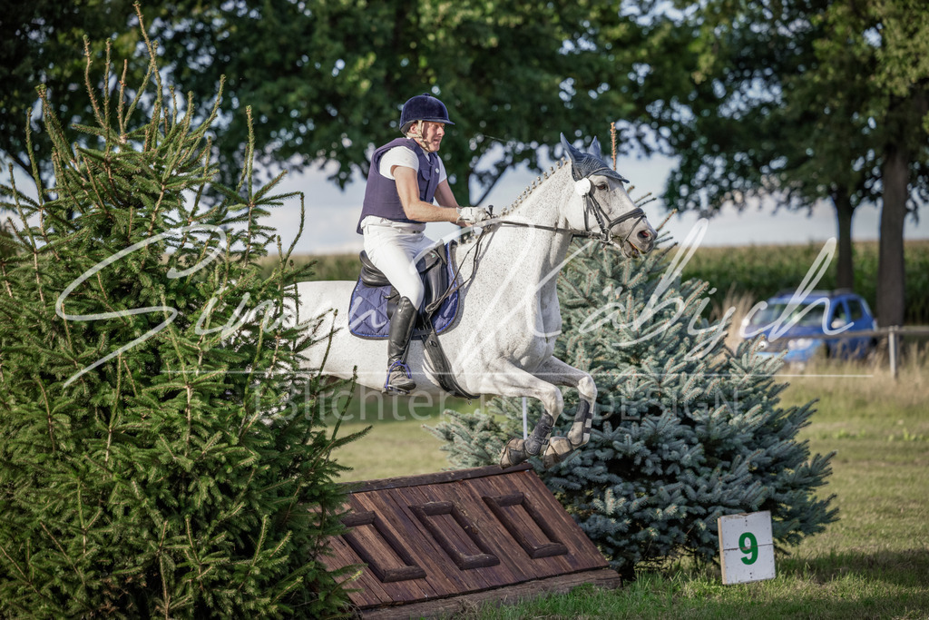 20250906-_3LI7720 | Tierfotografie Pferde, Hunde, Katzen, Haustiere.
Turnierfotografie Reitturniere, Reiten, Springreiten, Dressur in Hanau, dem Main-Kinzig-Kreis und dem Rhein-Main- Gebiet um Frankfurt