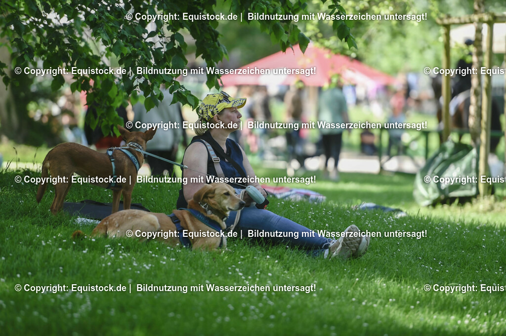 D78_2864 | equistock