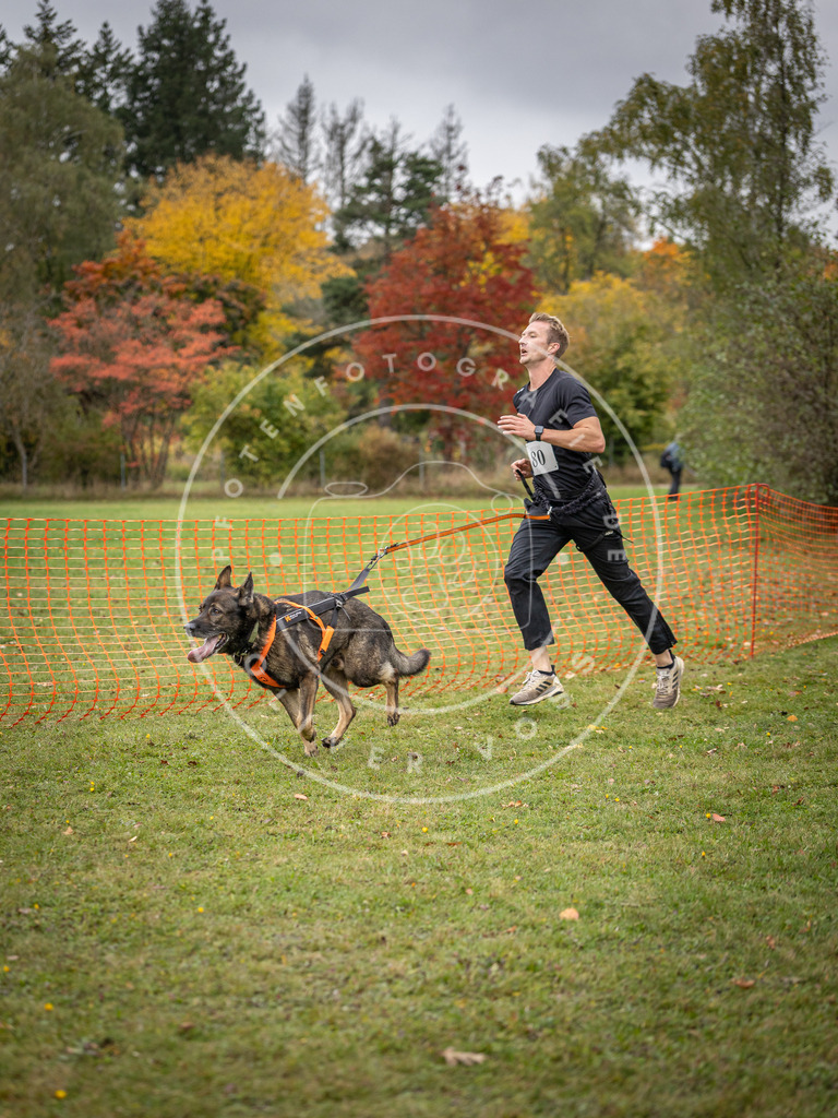 Pfotenfotografie_DV3A3027 | Hundefotografie, Tierfotograf, Pfotenfotografie, Fotoshooting Hund, Hunde Portrait, Hundesport, Hundeportraits, Heideshooting, Hunde, Sportfotograf, Hundefotograf, Turnierhundsport, THS,  - Realisiert mit Pictrs.com