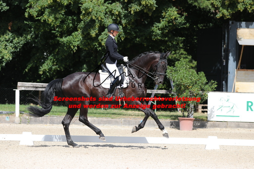 IMG_5313 | lmwpictures - Realisiert mit Pictrs.com