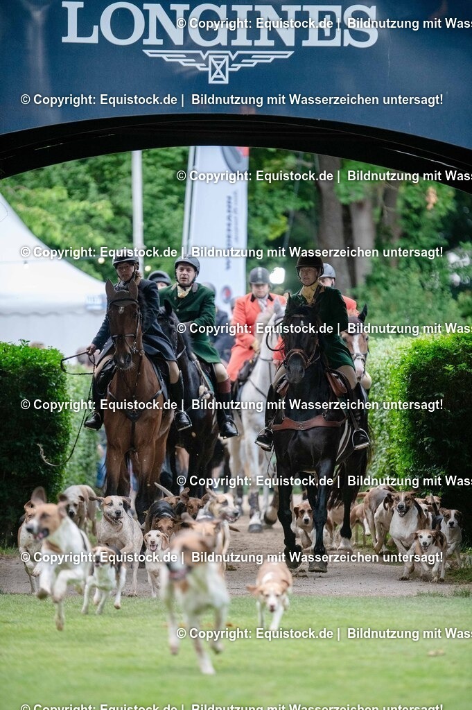 20250606_Lange-Pferdenacht_0458 | Foto: Thomas Hartig