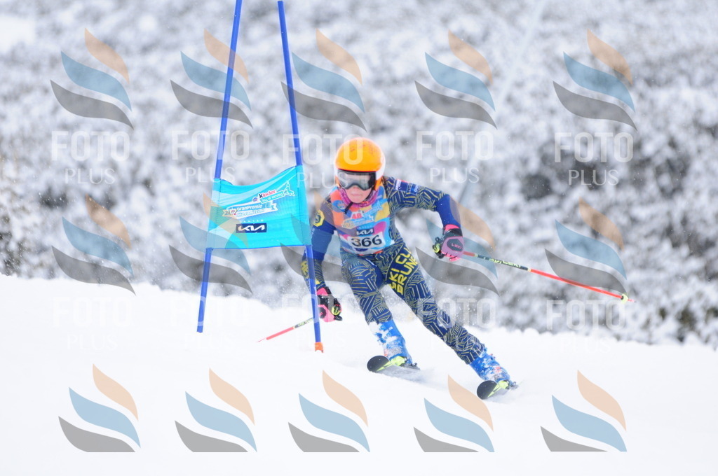 C3903 | holidayphoto