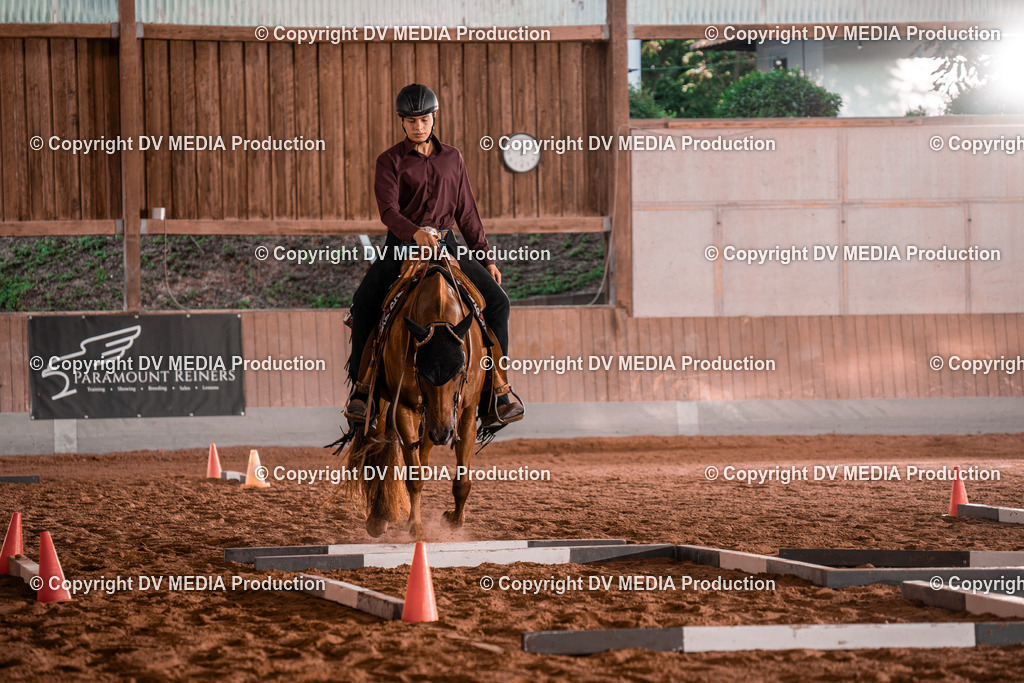 NE300101 | dv-media-shop - Realisiert mit Pictrs.com