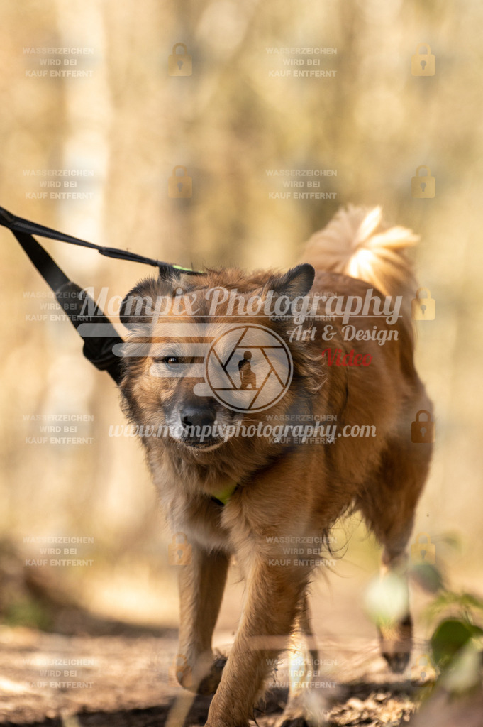 SPA_2023_SAM_CCK-158 | PayLife