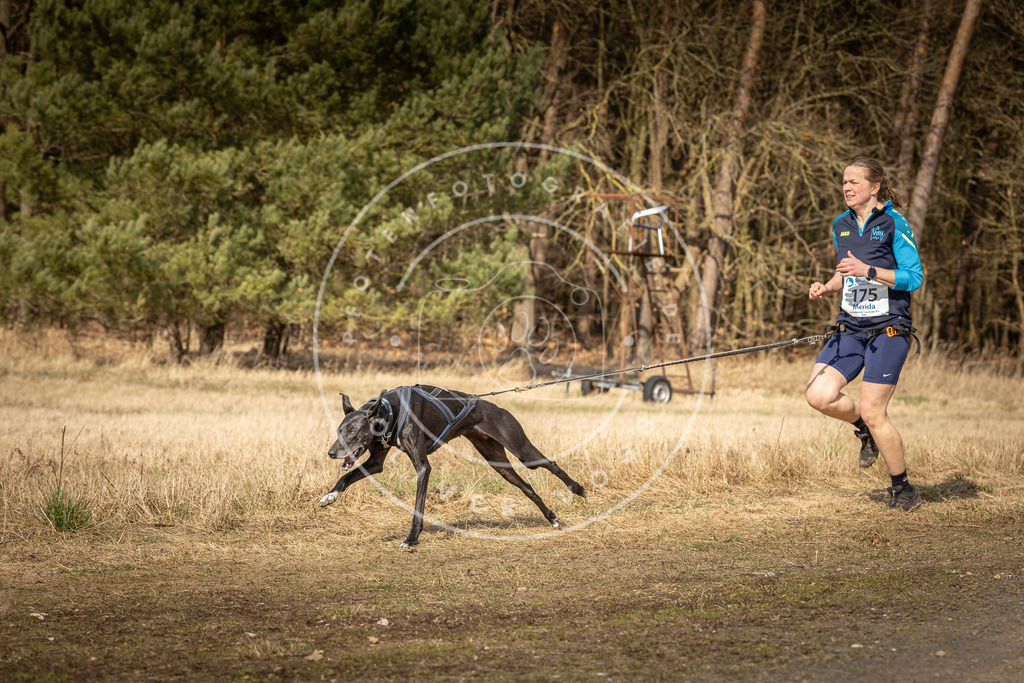 DV3A5647 | Hundefotografie, Tierfotograf, Pfotenfotografie, Fotoshooting Hund, Hunde Portrait, Hundesport, Hundeportraits, Heideshooting, Hunde, Sportfotograf, Hundefotograf, Turnierhundsport, THS,  - Realisiert mit Pictrs.com