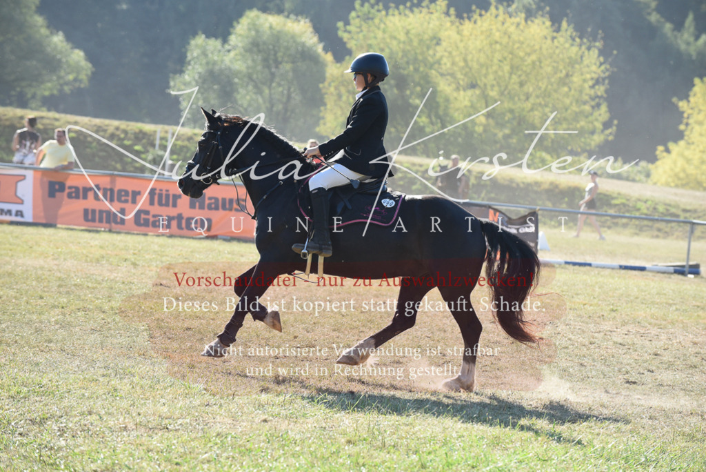DSC_5751 | Pferde- und Turnierfotografie in Westsachsen. Pferdeportraits, Auftragszeichnungen und intuitive Kunst.