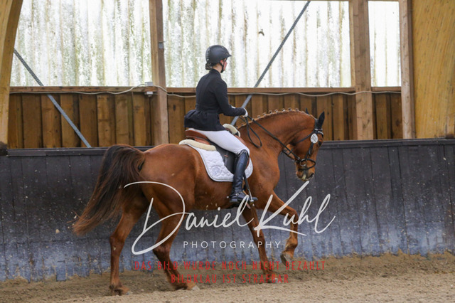 IMG_0383 | Turniersportfotografie; Pferdefotografie; Dressurfotografie