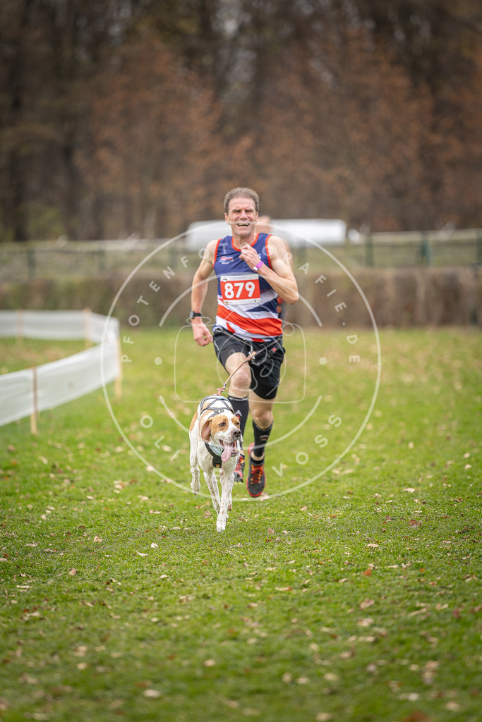 CaniXpix_DV3A6708 | Hundefotografie, Tierfotograf, Pfotenfotografie, Fotoshooting Hund, Hunde Portrait, Hundesport, Hundeportraits, Heideshooting, Hunde, Sportfotograf, Hundefotograf, Turnierhundsport, THS,  - Realisiert mit Pictrs.com