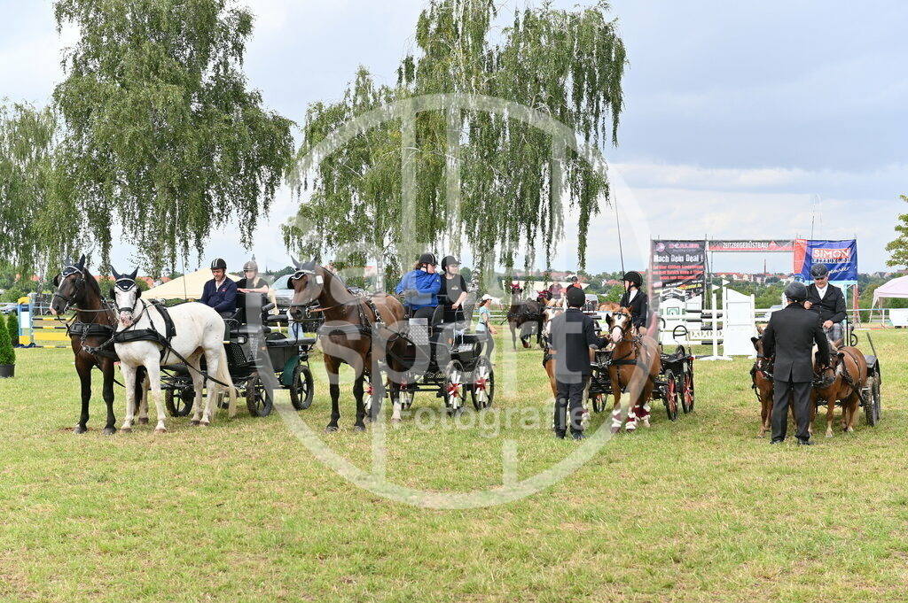 DSC_4569 | sattelsport - Realisiert mit Pictrs.com