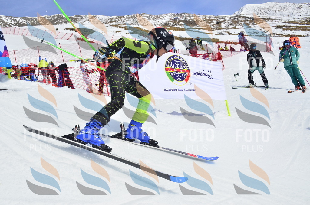 _ELE1921 | holidayphoto