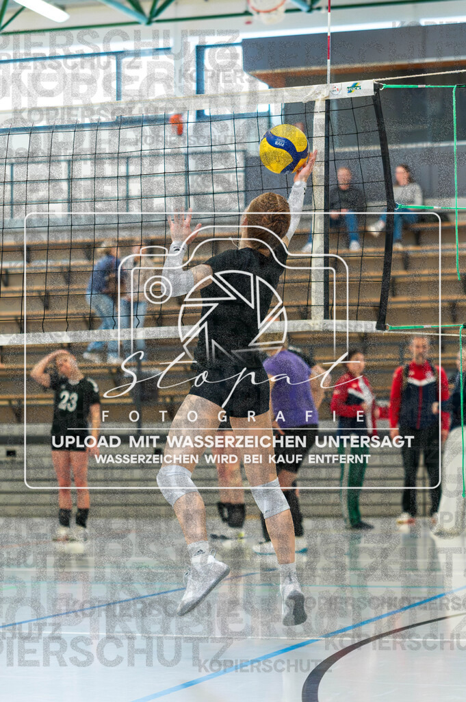 TVJ-1008 | Volleyball Doppelspieltag der 2. Damenmannschaft des TV Jahn Walsrode in der Bezirksklasse 4 Bremen/Lüneburg gegen SG Örtzetal II &amp; SVG Lüneburg VII  in der Sporthalle Gymnasium Walsrode, Walsrode (Simon Paul Stopat) - Realisiert mit Pictrs.com