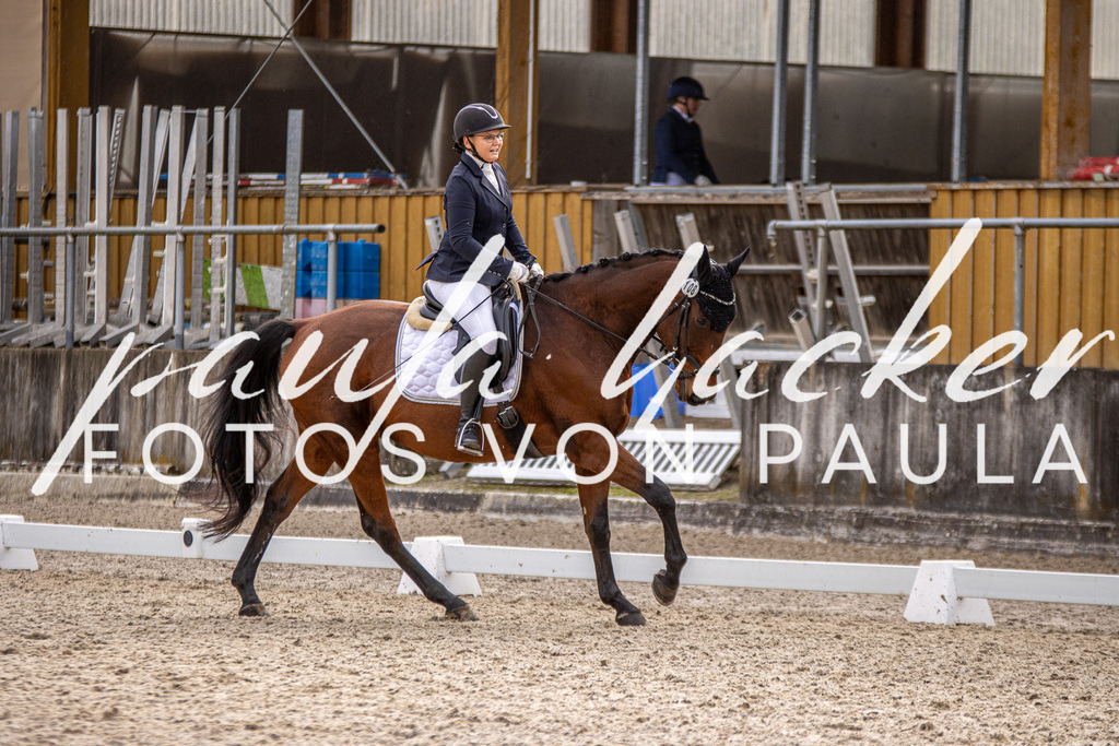 IMG_3174 | Erleben Sie dynamische Sport- und emotionale Tierfotografie in Süddeutschland mit Fotos von Paula. Spezialisiert auf Pferde- und Hundefotografie sowie Sportevents. Kontaktieren Sie mich für einzigartige und ausdrucksstarke Bilder Ihrer besonderen Momente. - Realisiert mit Pictrs.com
