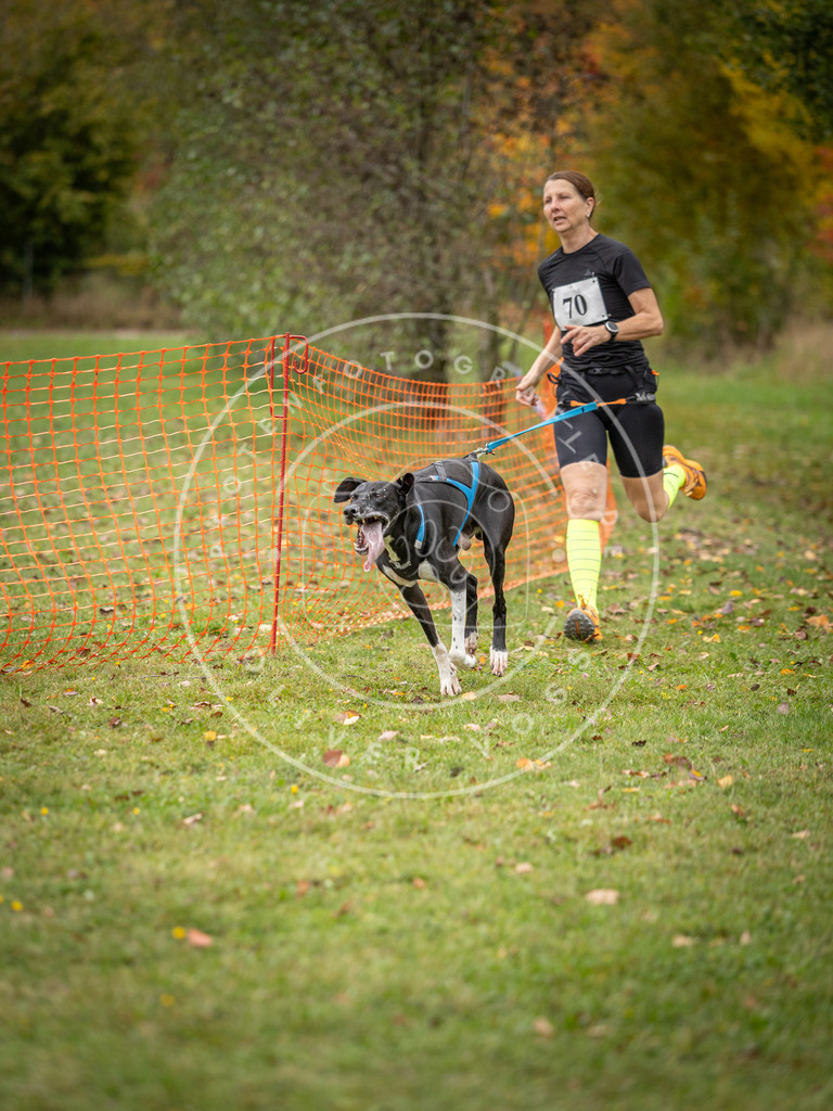 Pfotenfotografie_DV3A2799 | Hundefotografie, Tierfotograf, Pfotenfotografie, Fotoshooting Hund, Hunde Portrait, Hundesport, Hundeportraits, Heideshooting, Hunde, Sportfotograf, Hundefotograf, Turnierhundsport, THS,  - Realisiert mit Pictrs.com