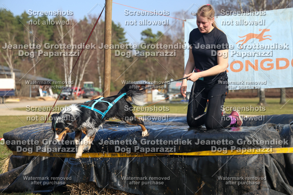 Dog Paparazzi - Strongdog North Mrz26-3160 | Dog Paparazzi Jeanette Grottendiek Fotografie & Videografie - Realisiert mit Pictrs.com
