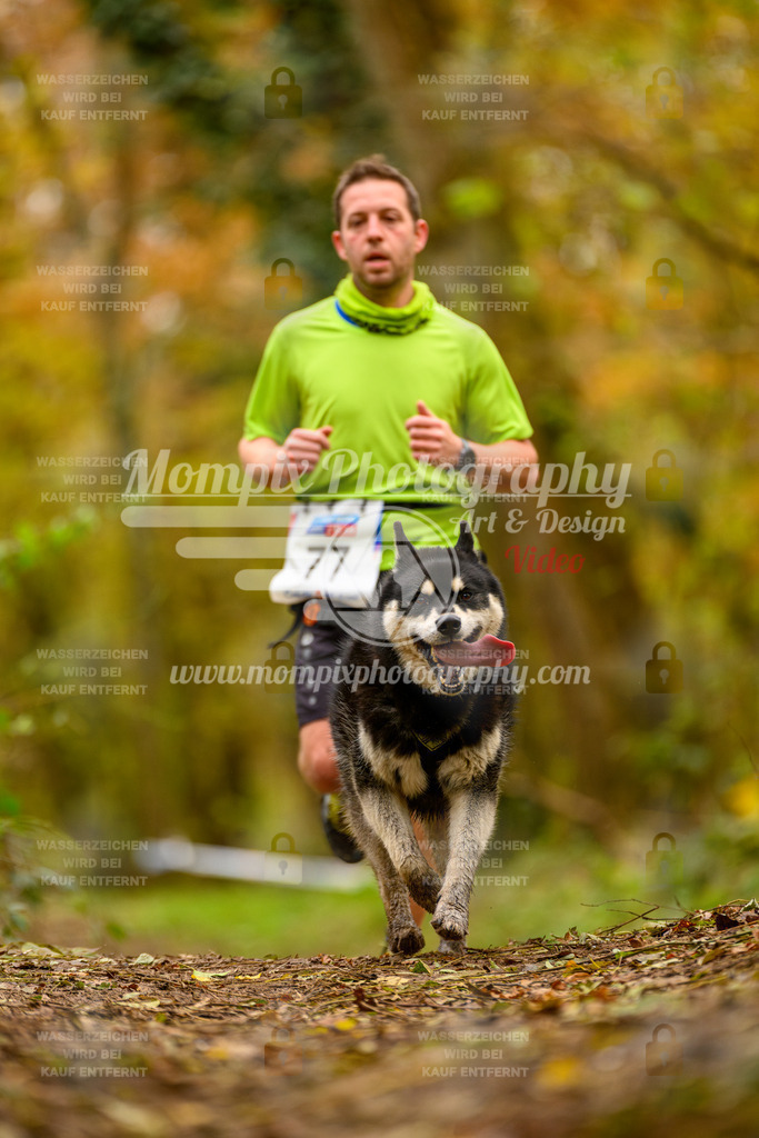MompixPhotography_Bischwiller24_SA_Canicross-102 | PayLife