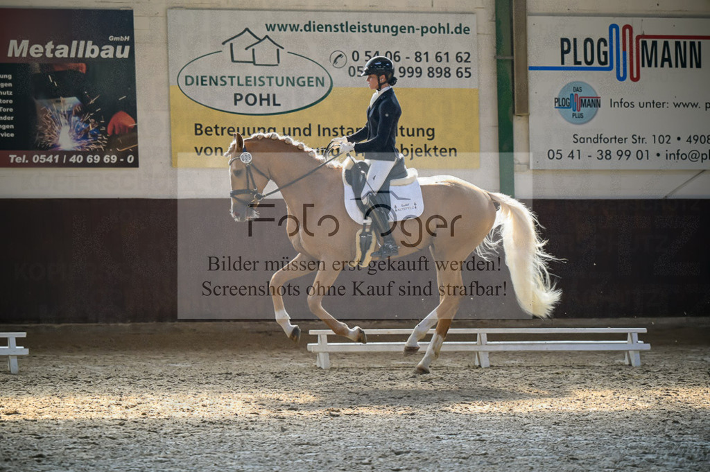 Reitturnier Voxtrup | Entdecke hochwertige Reitturnierfotos von Foto Oger. Professionell, emotional und authentisch – jetzt Lieblingsmomente im Shop bestellen.Deutschlandweite Turnierfotografie. - Realisiert mit Pictrs.com