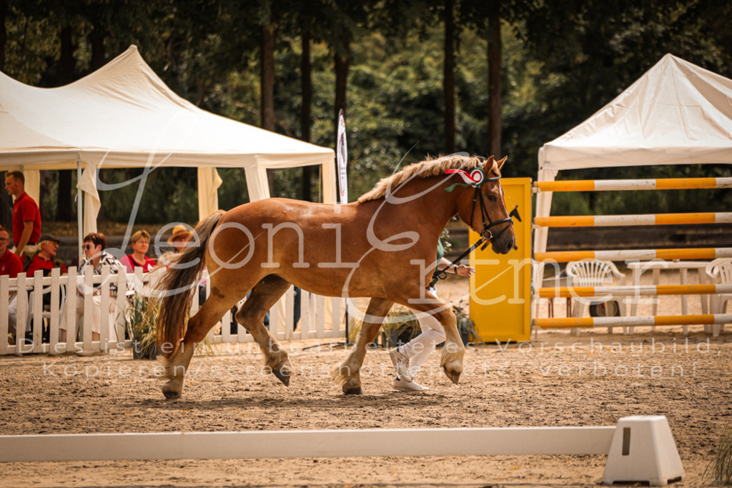 SaSieger00004 | Leoni Ertmer Photography - Realisiert mit Pictrs.com