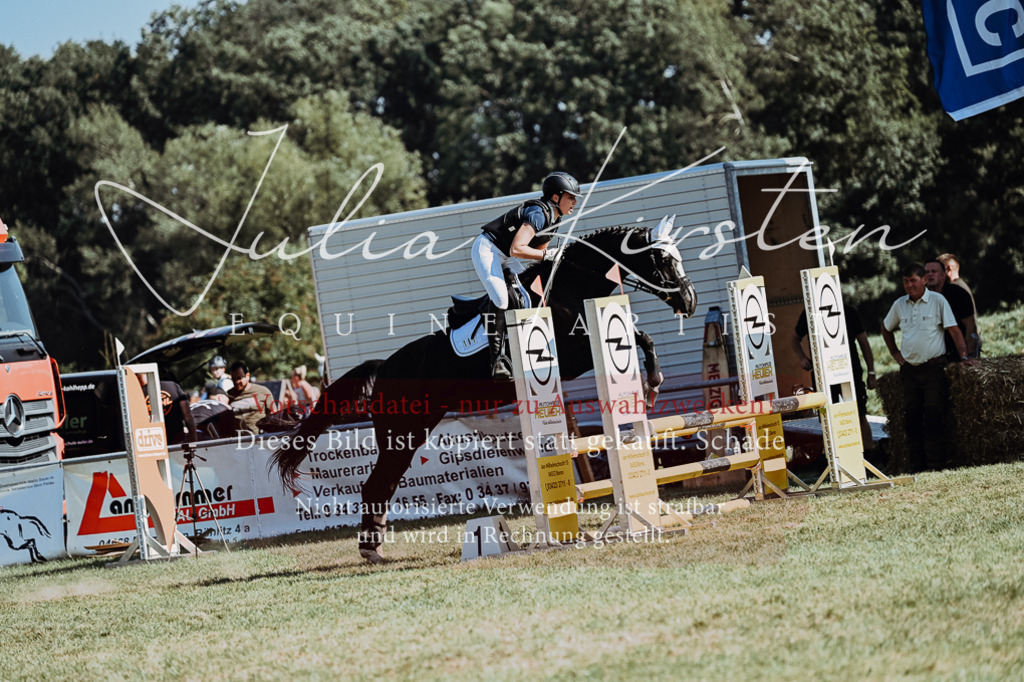 DSC_6638 | Pferde- und Turnierfotografie in Westsachsen. Pferdeportraits, Auftragszeichnungen und intuitive Kunst.