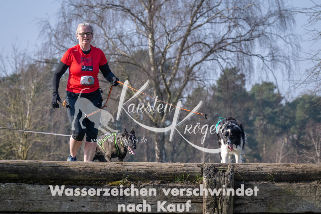 _ZZ91964 | kk-dogfotos