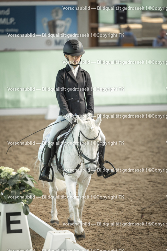 _D5A5649 | Emotionale Pferde- & People-Fotografie rund um Heidelberg, Leimen & Umgebung. Natürliche Fotos von Pferd, Mensch & Familie. Jetzt Termin sichern!