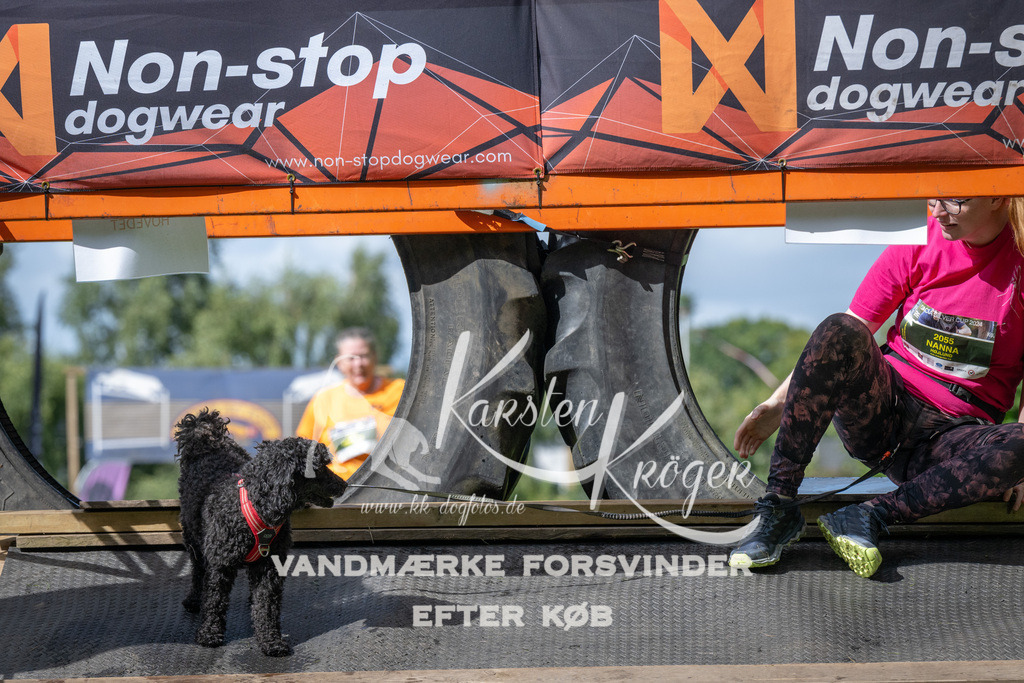 1540_ZZ93701 | kk-dogfotos