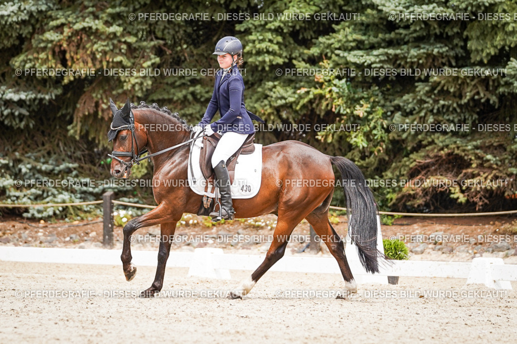 DSC04292 | Pferdegrafie