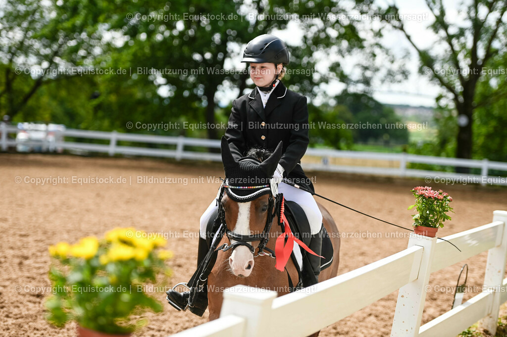 20230716_10-2_Reiter-WB Schritt - Trab - Galopp_0225 | equistock