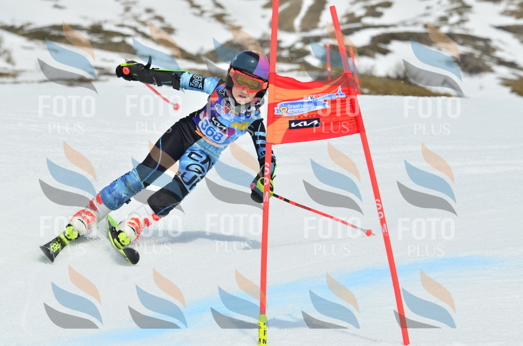 _ELE2986 | holidayphoto