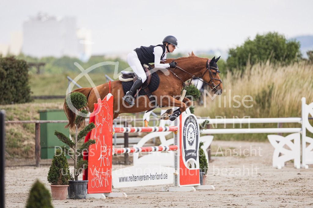 250629_PfSpTa_L-Spr2-417 | Deine schönsten Turniermomente als professionelle Fotos! Entdecke hochwertige Pferdesport-Fotografie im Online-Shop. Jetzt Fotos finden & bestellen!
