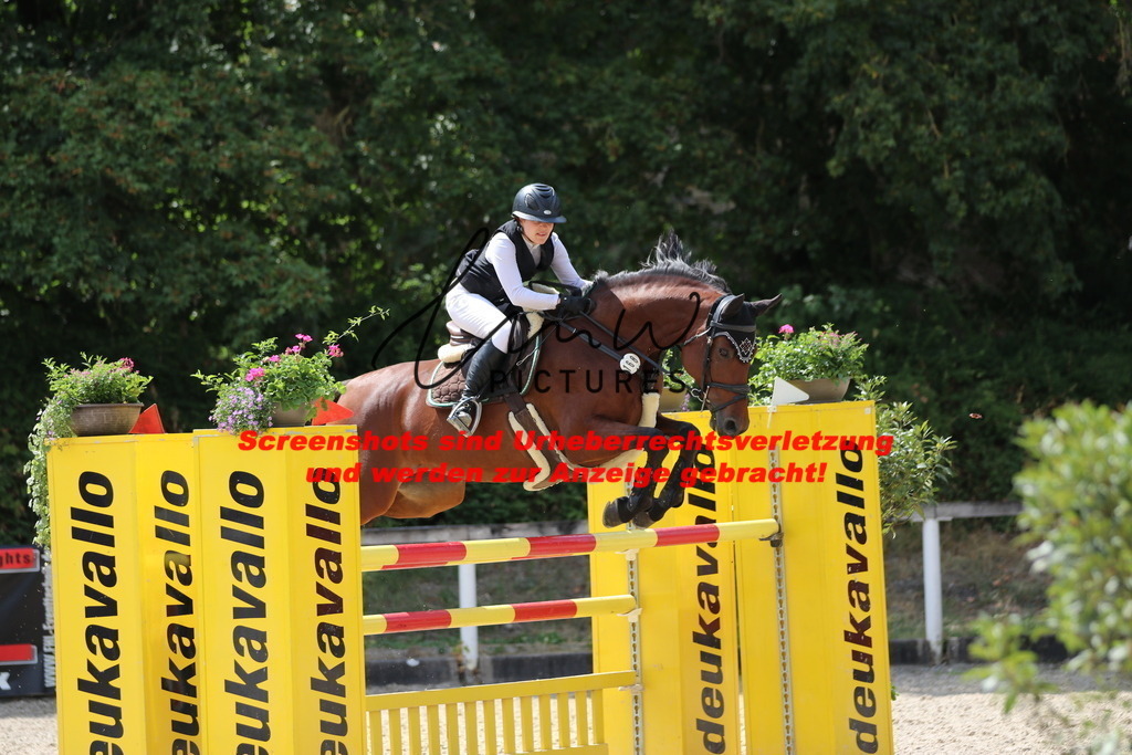 IMG_0392 | lmwpictures - Realisiert mit Pictrs.com