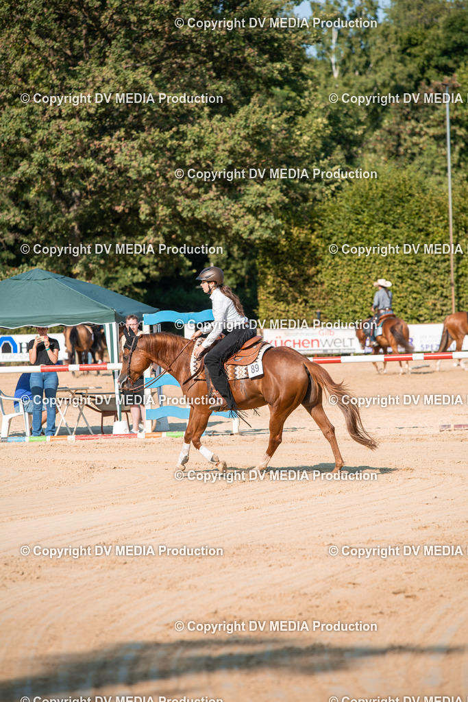 ZS2_8827 | dv-media-shop - Realisiert mit Pictrs.com