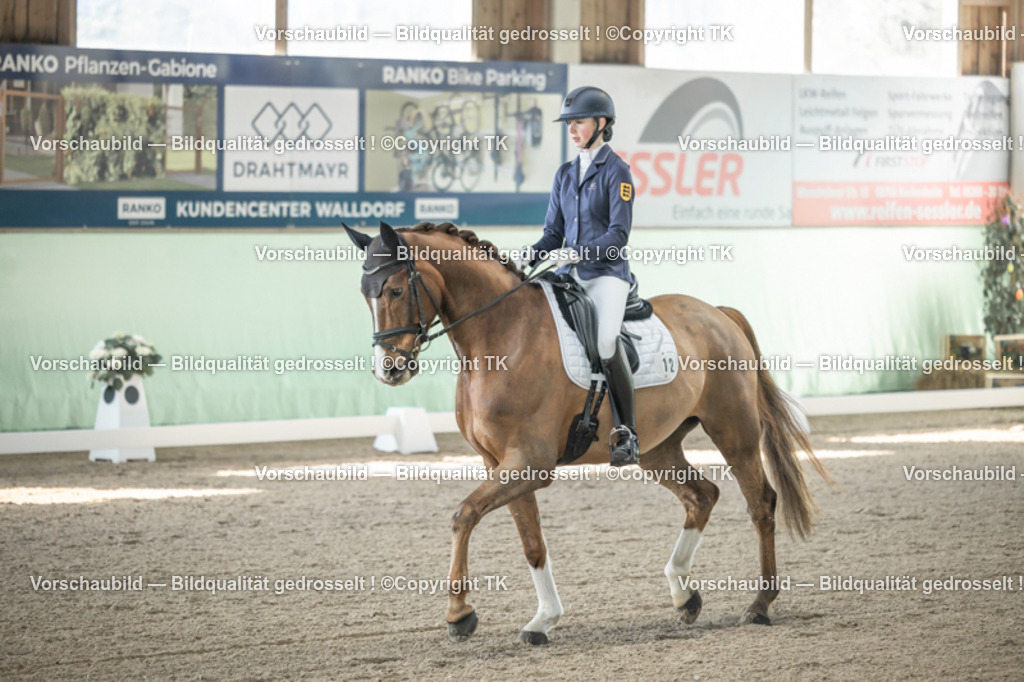 _D5A0580 | Emotionale Pferde- & People-Fotografie rund um Heidelberg, Leimen & Umgebung. Natürliche Fotos von Pferd, Mensch & Familie. Jetzt Termin sichern!