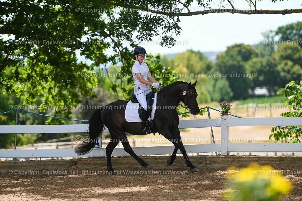 20230715_09_Dressur-WB_0230 | equistock