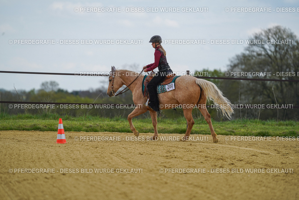 DSC05740 | Pferdegrafie