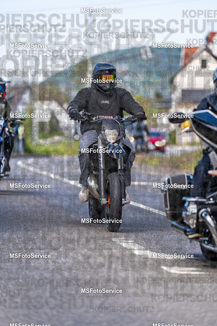 MSFotoService-697 | MSFotoService - Realisiert mit Pictrs.com