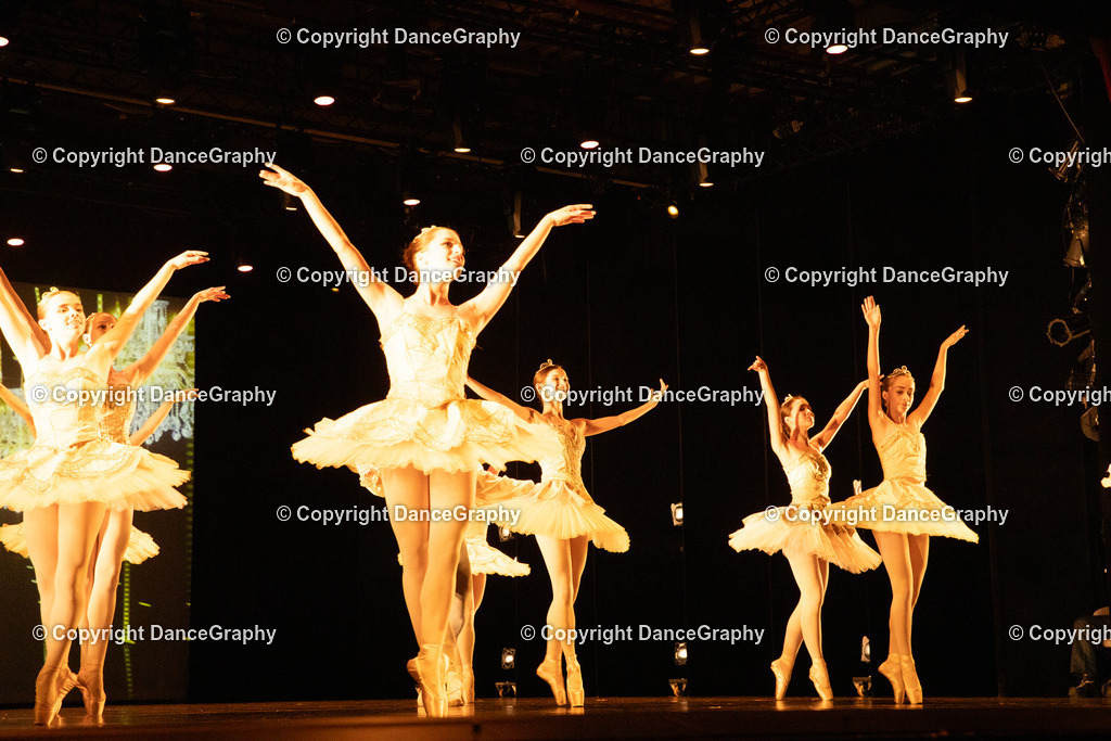 GPHY4485 | DanceGraphy - Realisiert mit Pictrs.com