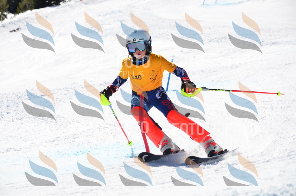 C9725 | holidayphoto