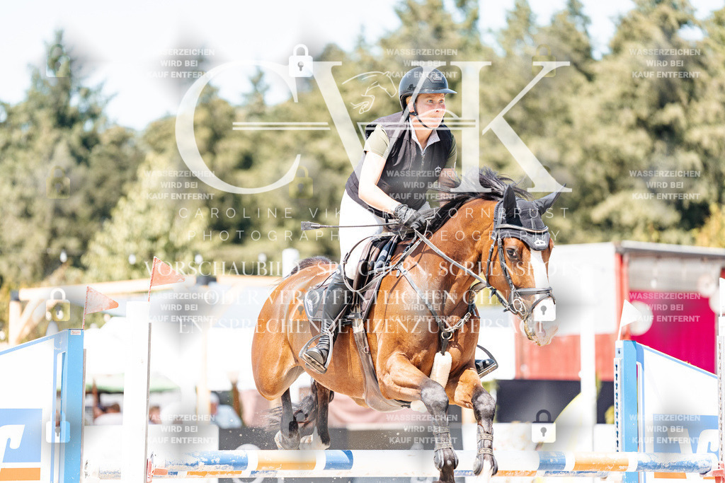 CK900913 | Turnierfotografie Pferdefotografie Trier Rheinland-Pfalz Pferdesport Reitsport Tierfotografie Sportfotografie Pferdevideo Pferdevideografie Equestrianvideography equestrianphotography  - Realisiert mit Pictrs.com