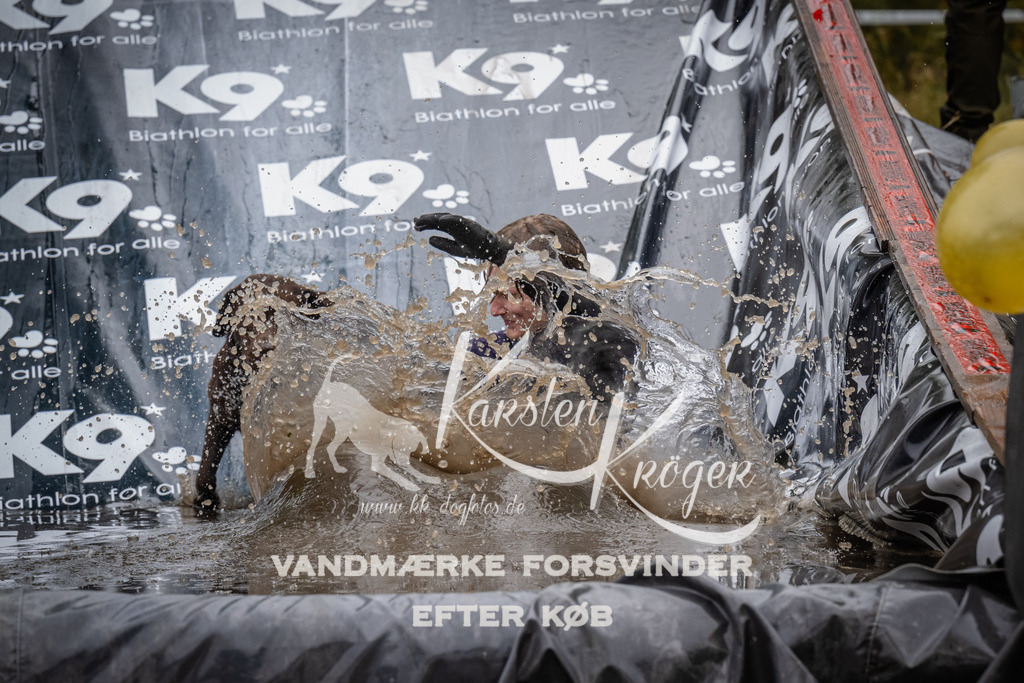 1218_ZZ94866 | kk-dogfotos