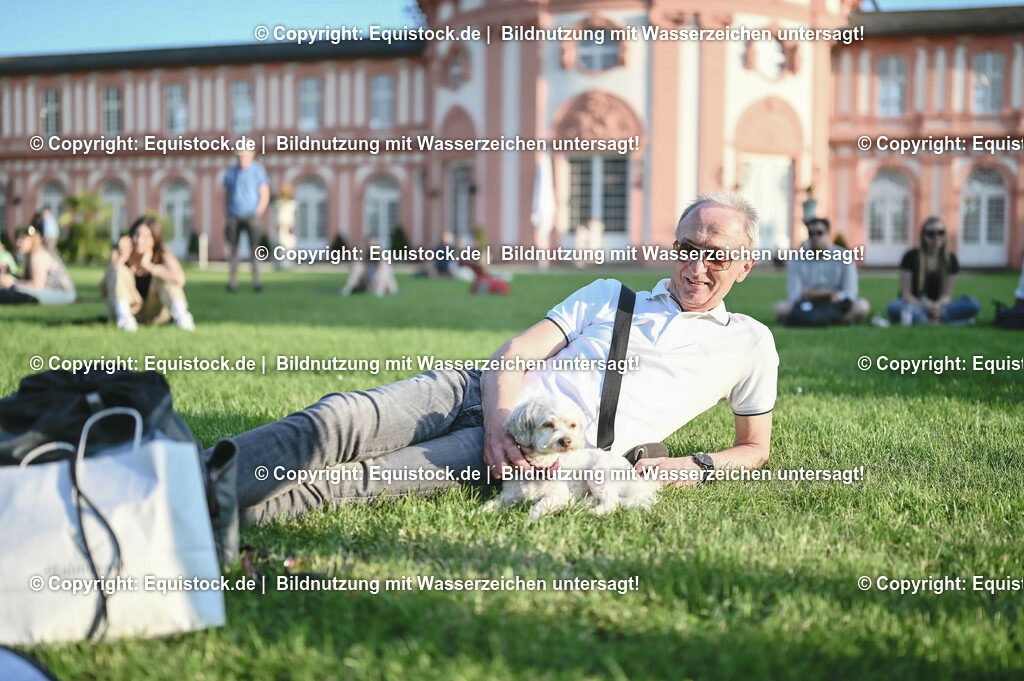 D78_3836 | equistock