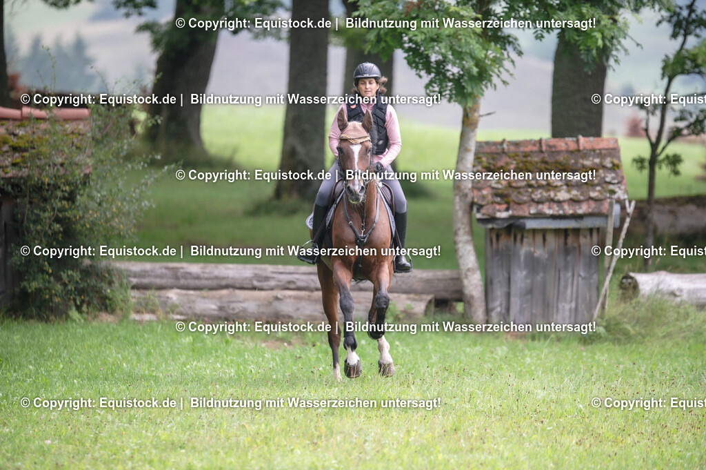 20250726_Vielseitigkeitslehrgang-Marbach_0158 | Foto: Thomas Hartig