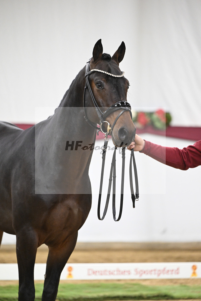 Kat-Nr. 46 Zenetti x Ritz Carlton_Udo Kast_47251621 | hf-fotografie - Realisiert mit Pictrs.com