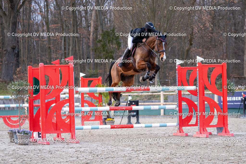 Kranichstein Tag 2-2338 | dv-media-shop - Realisiert mit Pictrs.com