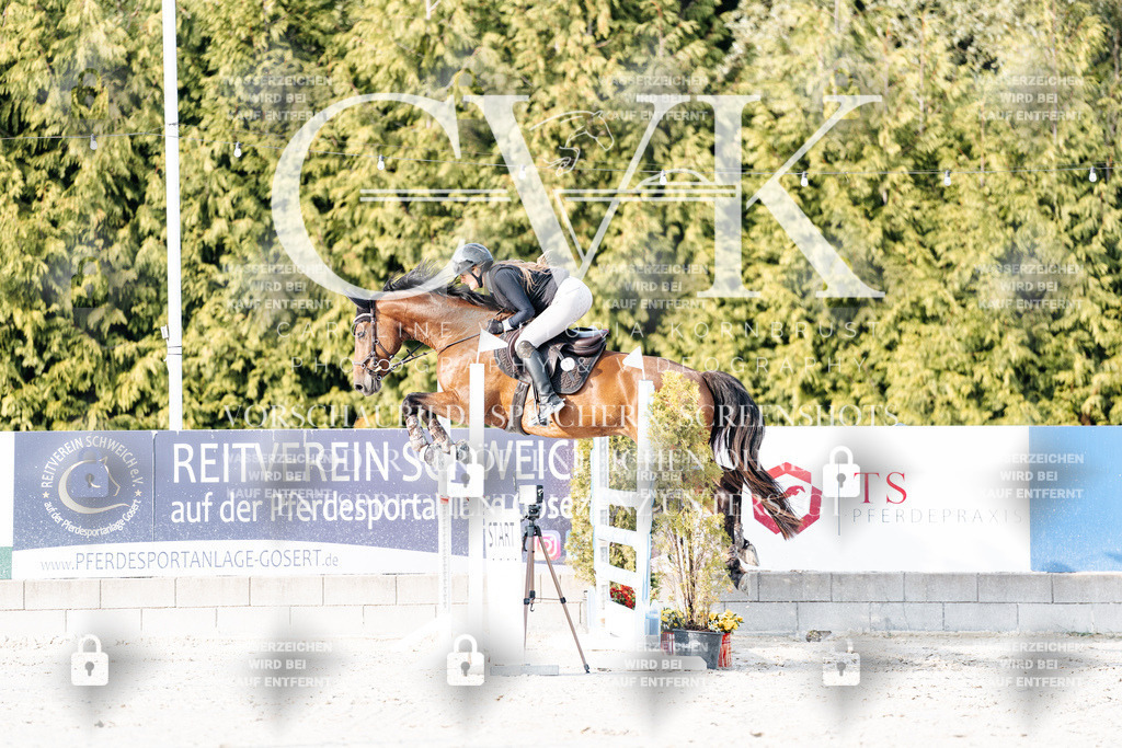 CK903276 | Turnierfotografie Pferdefotografie Trier Rheinland-Pfalz Pferdesport Reitsport Tierfotografie Sportfotografie Pferdevideo Pferdevideografie Equestrianvideography equestrianphotography  - Realisiert mit Pictrs.com